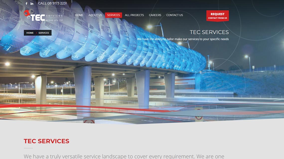 TEC Services Pineaple Planet
