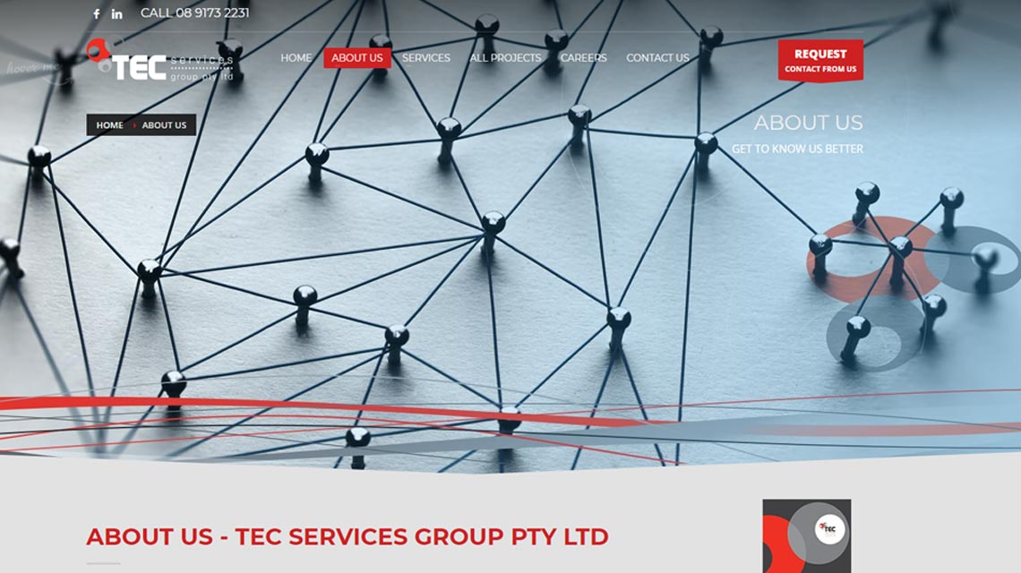 TEC Services Pineaple Planet
