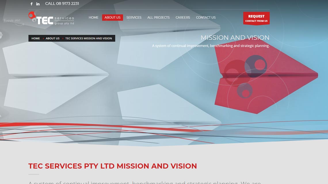 TEC Services Pineaple Planet