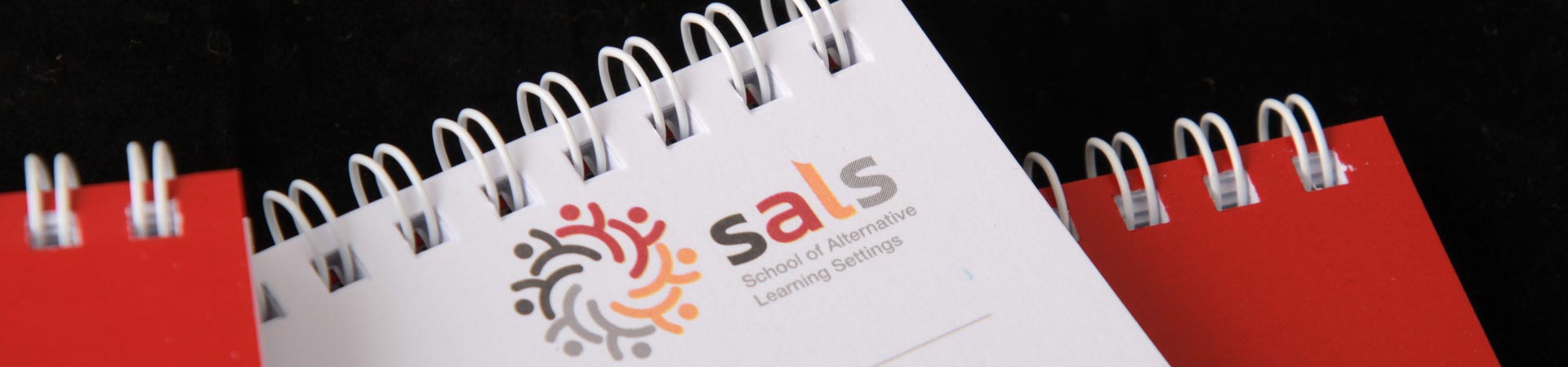 School of Alternative Learning Settings