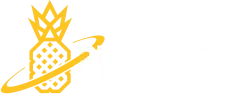 Pineapple Planet Creative Agency Perth Website Design Company Perth