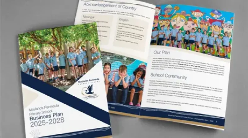 MAYLANDS PENINSULA PRIMARY SCHOOL BUSINESS PLAN PINEAPPLE PLANET